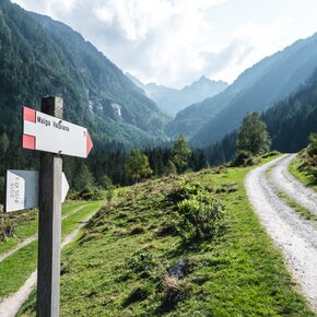 Valpiana | © APT Valli di Sole, Peio e Rabbi