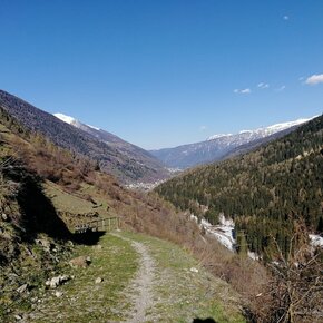 Punto Panoramico "Via delle Pendeghe" | © APT Valli di Sole, Peio e Rabbi