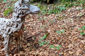Animal Trail | © APT Rovereto Vallagarina Monte Baldo
