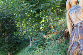 Fantasy in the Woods | © APT Rovereto Vallagarina Monte Baldo