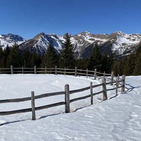 Loop between Malga Lauregno and Malga Castrin passing through the meadows of Monte Soùs | © APT Val di Non 