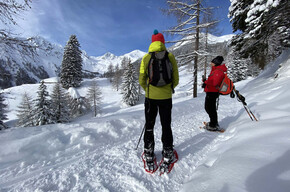 Snowshoe loop between malga Cloz and malga Revò in the Maddalene group | © APT Val di Non 