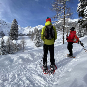 Snowshoe loop between malga Cloz and malga Revò in the Maddalene group | © APT Val di Non 