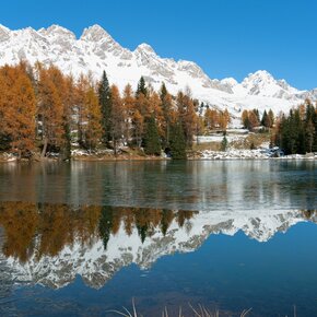 Moena - Passo San Pellegrino ©Archivio APT Val di Fassa | © APT Val di Fassa