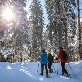 Còl – Forest Refuge – Malga Civertaghe – Val di Ròda | © APT San Martino di Castrozza, Primiero e Vanoi