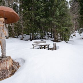 Giant Firs Trail | © APT San Martino di Castrozza, Primiero e Vanoi