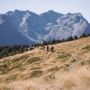 View of the Presanella | © APT Valli di Sole, Peio e Rabbi