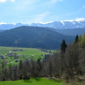 sentiero 356 | © APT San Martino di Castrozza, Primiero e Vanoi