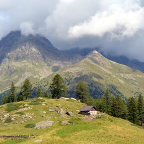 Val Pudria and Val Comiciolo | © APT Valli di Sole, Peio e Rabbi