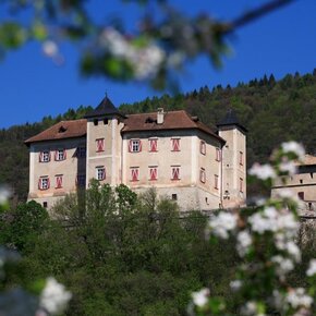 Castel Thun tra i meleti in fiore | © APT Val di Non 