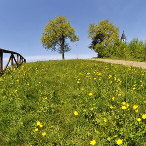 Dal lago a Località Ferrari - percorso di congiunzione | © APT Trento 