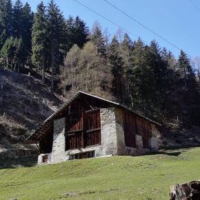 Masi | © APT Valli di Sole, Peio e Rabbi