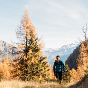Trail in Val di Lares | © Madonna di Campiglio Azienda per il Turismo 