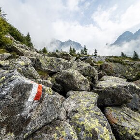 A section of the climb in Val di Cercen, a side valley of Val Genova | © Madonna di Campiglio Azienda per il Turismo 