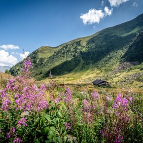 Malga Siniciaga Alta | © Madonna di Campiglio Azienda per il Turismo 