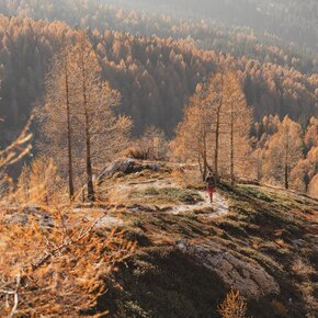 Climb in Val Gelada | © Madonna di Campiglio Azienda per il Turismo 