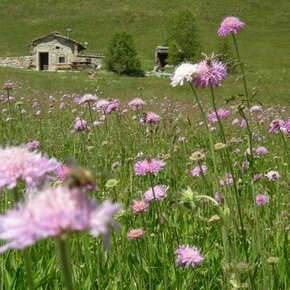 DAL KESERLE AL LANCIA - VISITROVERETO | © APT Rovereto Vallagarina Monte Baldo