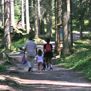 Sentiero della Pace 31: Rifugio Capanna Cervino to Paneveggio | © APT San Martino di Castrozza, Primiero e Vanoi