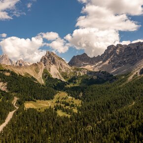 Val San Nicolò - Col Ombert ©APT Val di Fassa Archive | © APT Val di Fassa