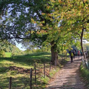 castione castagni brentonico 4a tappa san rocco | © APT Rovereto Vallagarina Monte Baldo