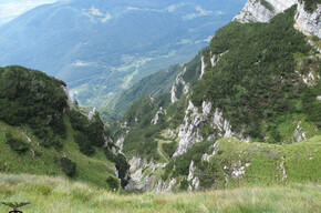 Trekking Cimone - Doss D'Abramo (itinerario SAT 638) | © APT Trento 