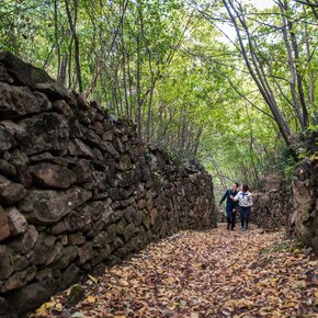 Una coppia sale lungo il percorso nel bosco, tra mura di pietra e foglie cadute | © APT Dolomiti di Brenta e Paganella