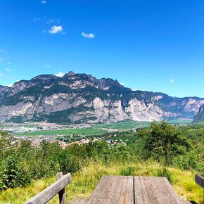 San Michele - Sentiero nel Bosco | © Consorzio Turistico Rotaliana Königsberg