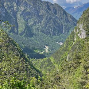 The valley viewed from above the path | © Madonna di Campiglio Azienda per il Turismo 