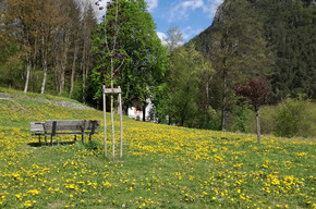 Pic Nic at San Vigilio | © Madonna di Campiglio Azienda per il Turismo 