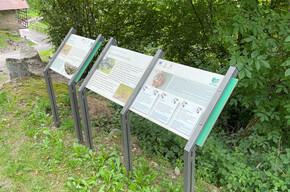 Pannelli esplicativi posizionati lungo il percorso | © Madonna di Campiglio Azienda per il Turismo 