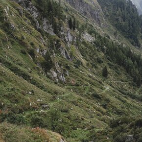 Sentiero che sale dalla Val di Trivena verso pian di Redont | © Madonna di Campiglio Azienda per il Turismo 