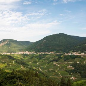 Grumes - Lona, Cammino delle Terre Sospes | © Rete di Riserve Val di Cembra Avisio