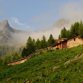 Malga Maleda Alta | © APT Valli di Sole, Peio e Rabbi
