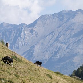 Val Comasine | © APT Valli di Sole, Peio e Rabbi