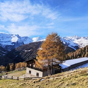 Artisé hut | © APT Valli di Sole, Peio e Rabbi