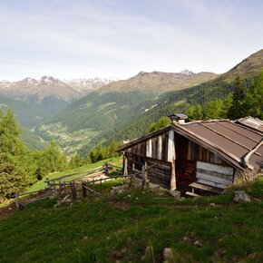 Malga Mandrie | © APT Valli di Sole, Peio e Rabbi