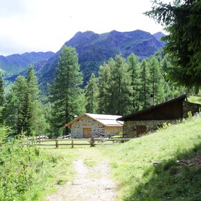 Malga Palù | © APT Valli di Sole, Peio e Rabbi