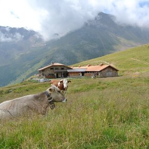 Malga Villar Alta | © APT Valli di Sole, Peio e Rabbi