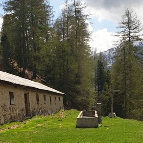 Malga Borche | © APT Valli di Sole, Peio e Rabbi