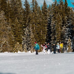 Route No. 18 Pappagallo- Colarin Cabinovia- Snowshoeing Route. | © Madonna di Campiglio Azienda per il Turismo 