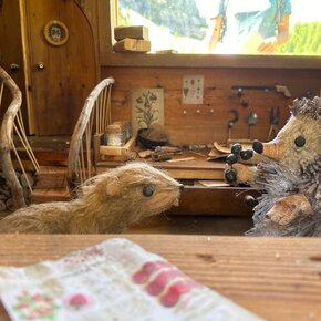 The marmot trail ©Archivio Funivia Ciampac e Contrin S.p.A. | © APT Val di Fassa