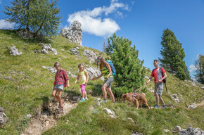 Dolomiti Family Trek King ©Archivio APT Val di Fassa | © APT Val di Fassa