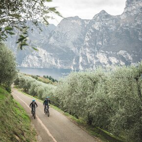 Ascent of Monte Brione | © Garda Trentino