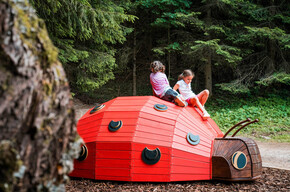 Mega Bugs | © APT Dolomiti di Brenta e Paganella