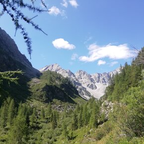 Bait de Bon - Loc. Lago Venezia | © APT Valli di Sole, Peio e Rabbi