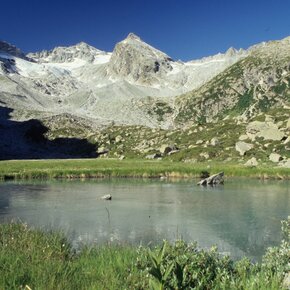 Lago di Monticello con vista sul ghiacciaio | © APT Valli di Sole, Peio e Rabbi