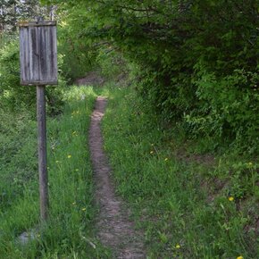 Passeggiata percorso vita fino a Castel Belfort | © APT Dolomiti di Brenta e Paganella