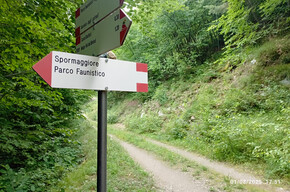 Camminata sulla strada tagliafuoco | © APT Dolomiti di Brenta e Paganella