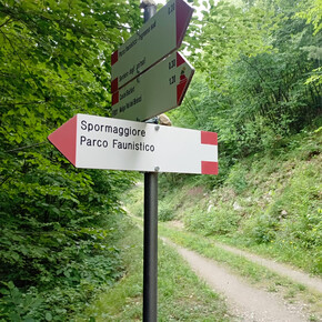 Camminata sulla strada tagliafuoco | © APT Dolomiti di Brenta e Paganella