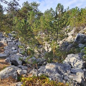 Passeggiata per il biotopo dei Lavini | © APT Rovereto Vallagarina Monte Baldo